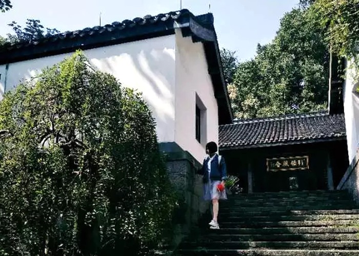 浙江工業(yè)大學毛露婷：從現(xiàn)在開始讓自己努力變強吧！